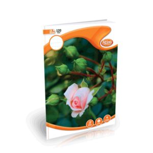 Atlas CR Book 120 Pages (=) Single Ruled